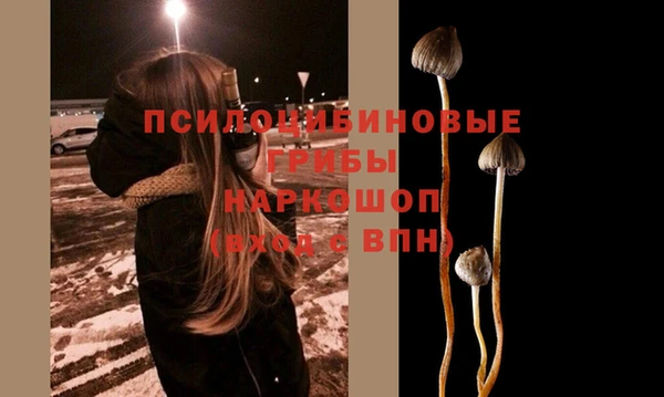 ешки Богородицк