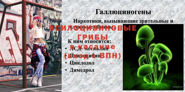 ешки Богородицк